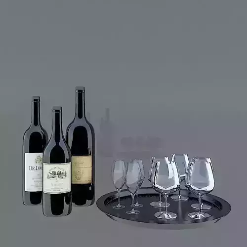 Wine model glasses and bottles on tray