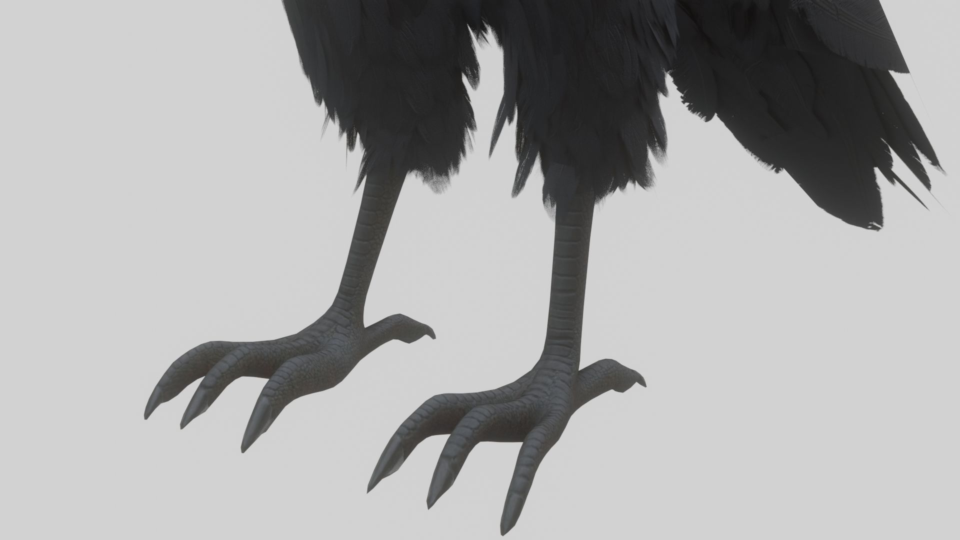 Animated Low Poly Raven Model With PBR Materials Low-poly 3D model_11