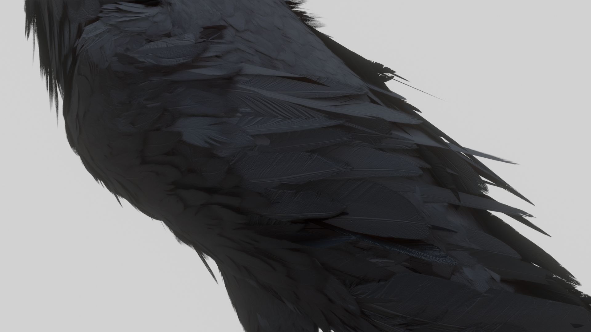 Animated Low Poly Raven Model With PBR Materials Low-poly 3D model_10