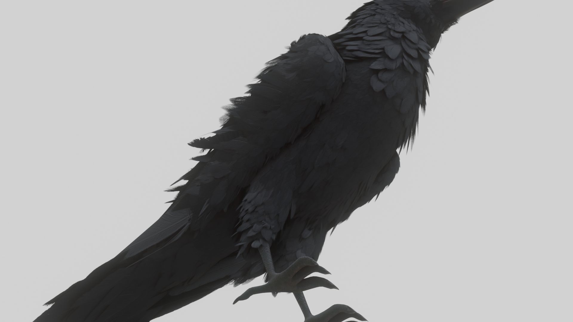 Animated Low Poly Raven Model With PBR Materials Low-poly 3D model_12