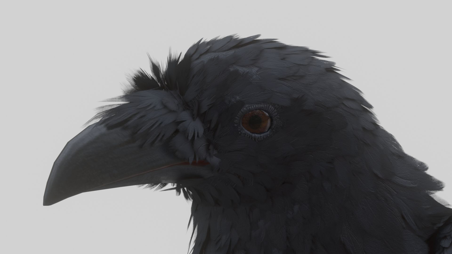 Animated Low Poly Raven Model With PBR Materials Low-poly 3D model_13