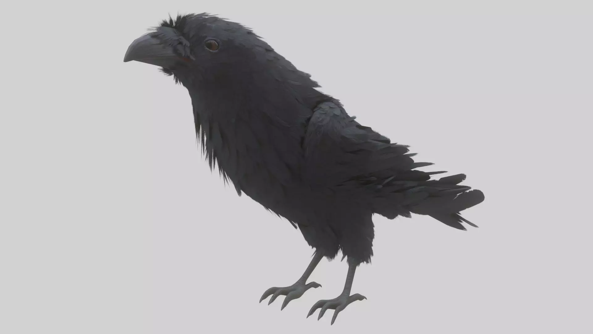 Animated Low Poly Raven Model With PBR Materials Low-poly 3D model_0