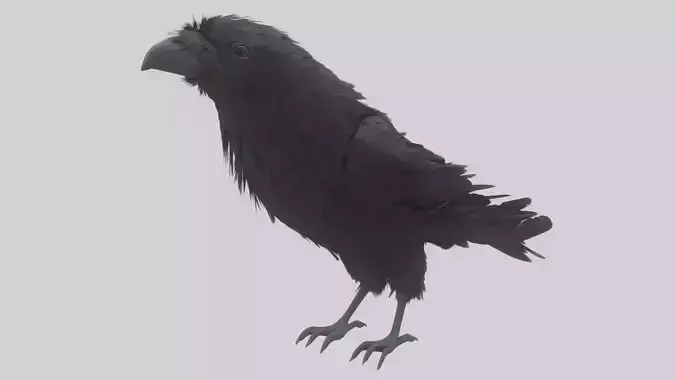 Animated Low Poly Raven Model With PBR Materials Low-poly 3D model