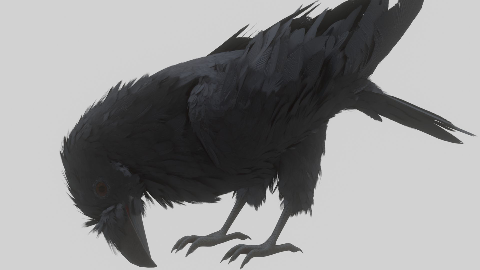 Animated Low Poly Raven Model With PBR Materials Low-poly 3D model_5
