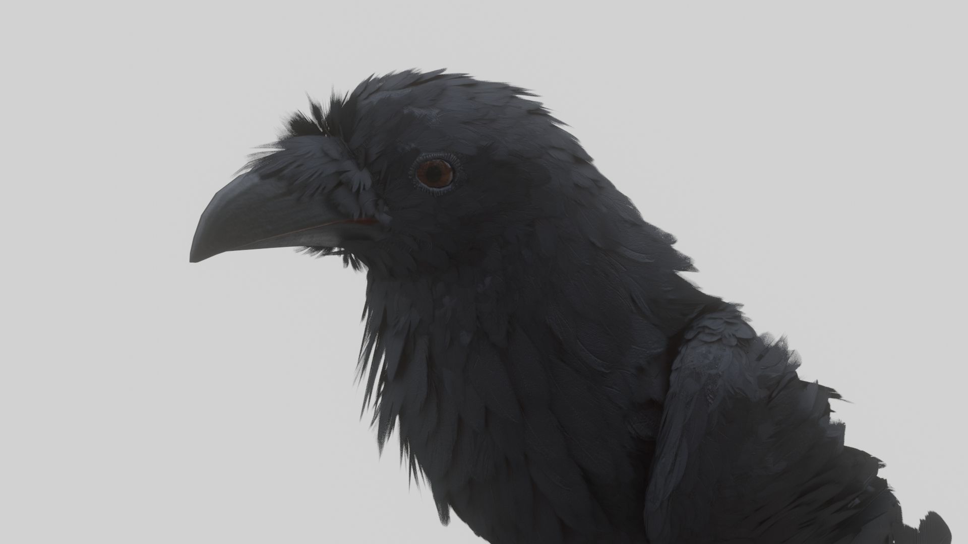Animated Low Poly Raven Model With PBR Materials Low-poly 3D model_9