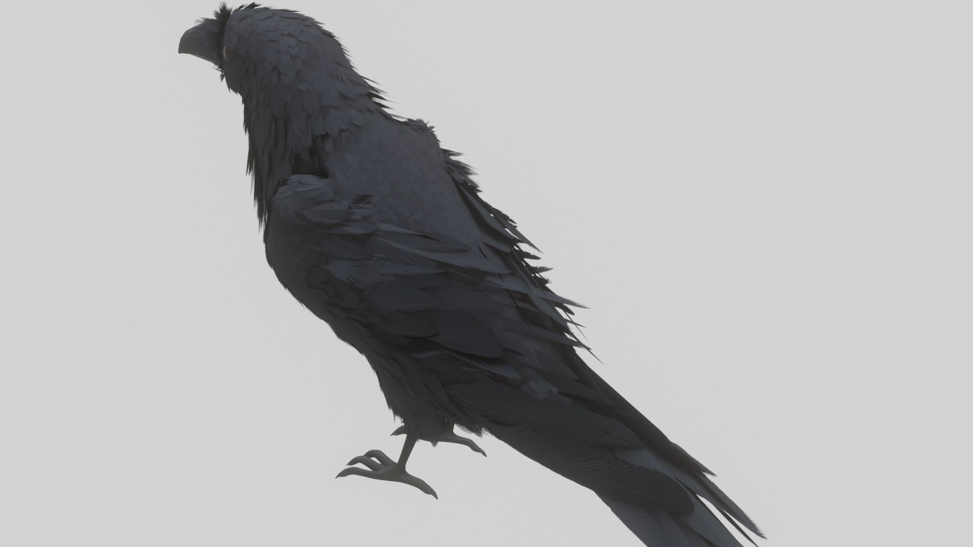 Animated Low Poly Raven Model With PBR Materials Low-poly 3D model_7