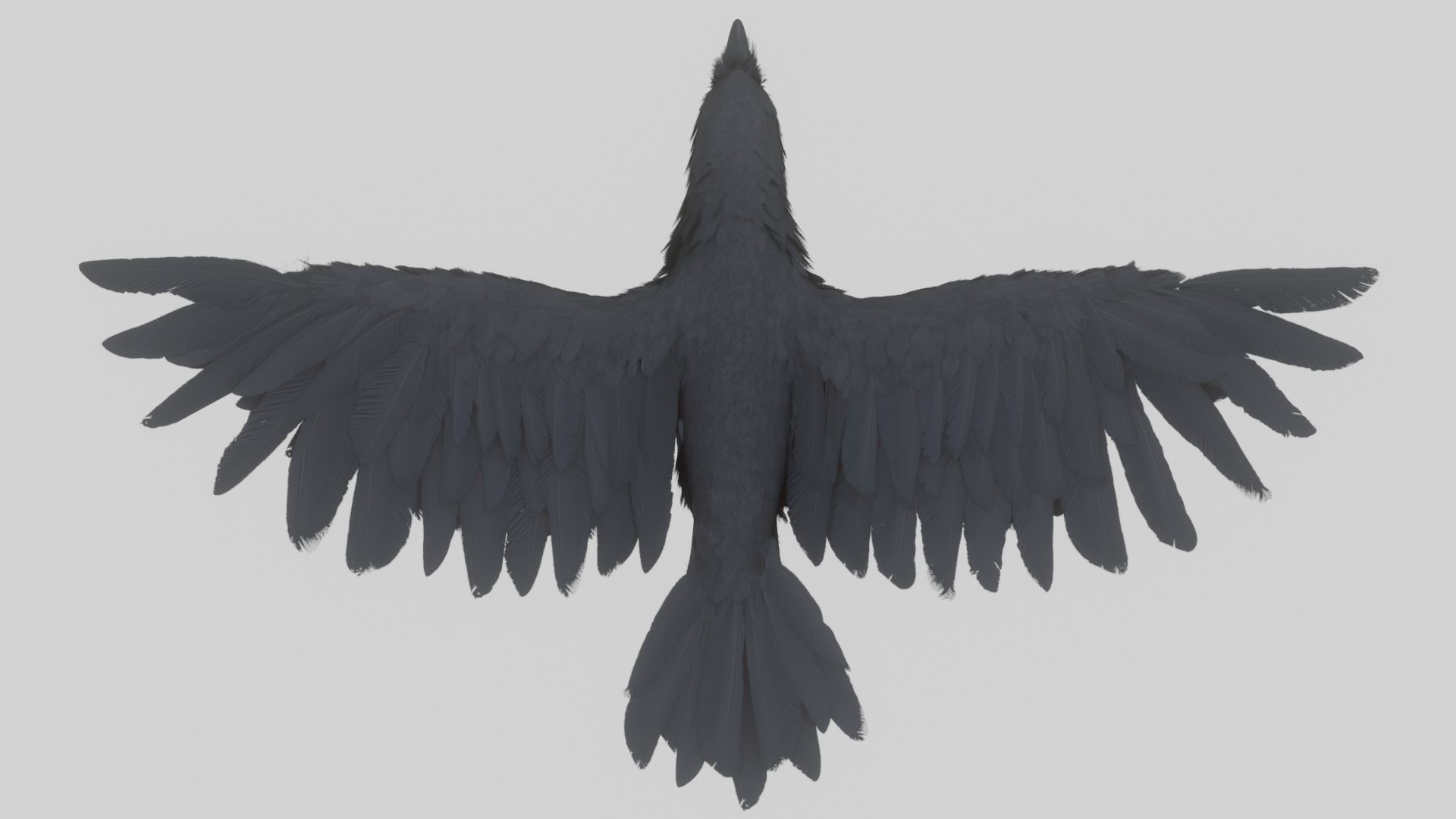Animated Low Poly Raven Model With PBR Materials Low-poly 3D model_14