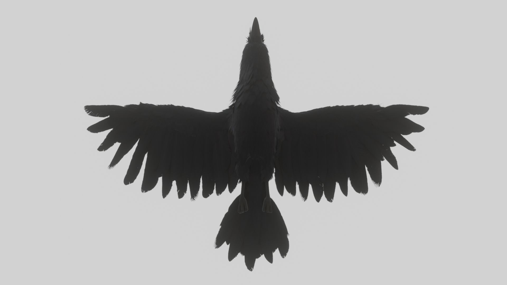 Animated Low Poly Raven Model With PBR Materials Low-poly 3D model_2