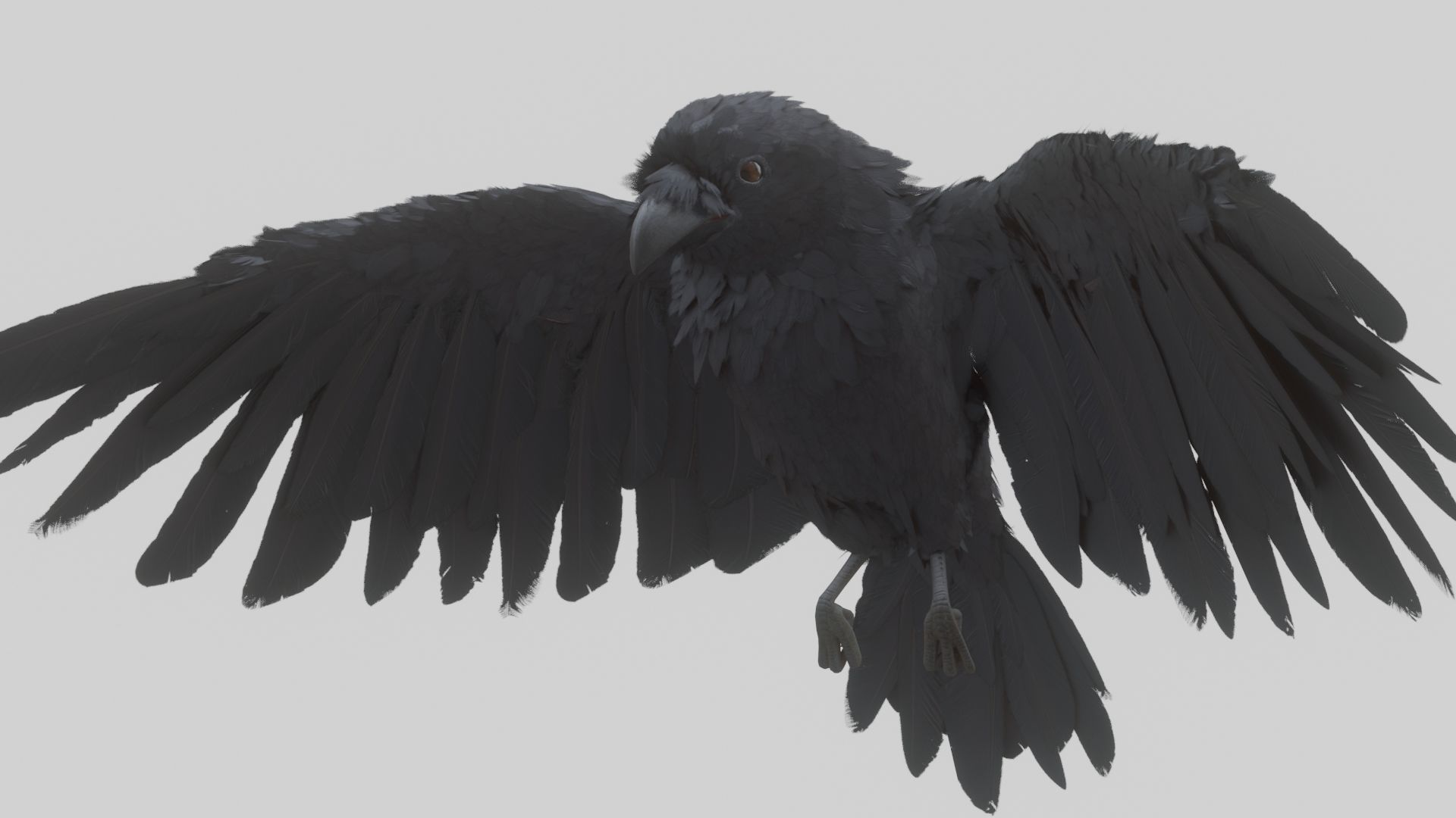 Animated Low Poly Raven Model With PBR Materials Low-poly 3D model_4