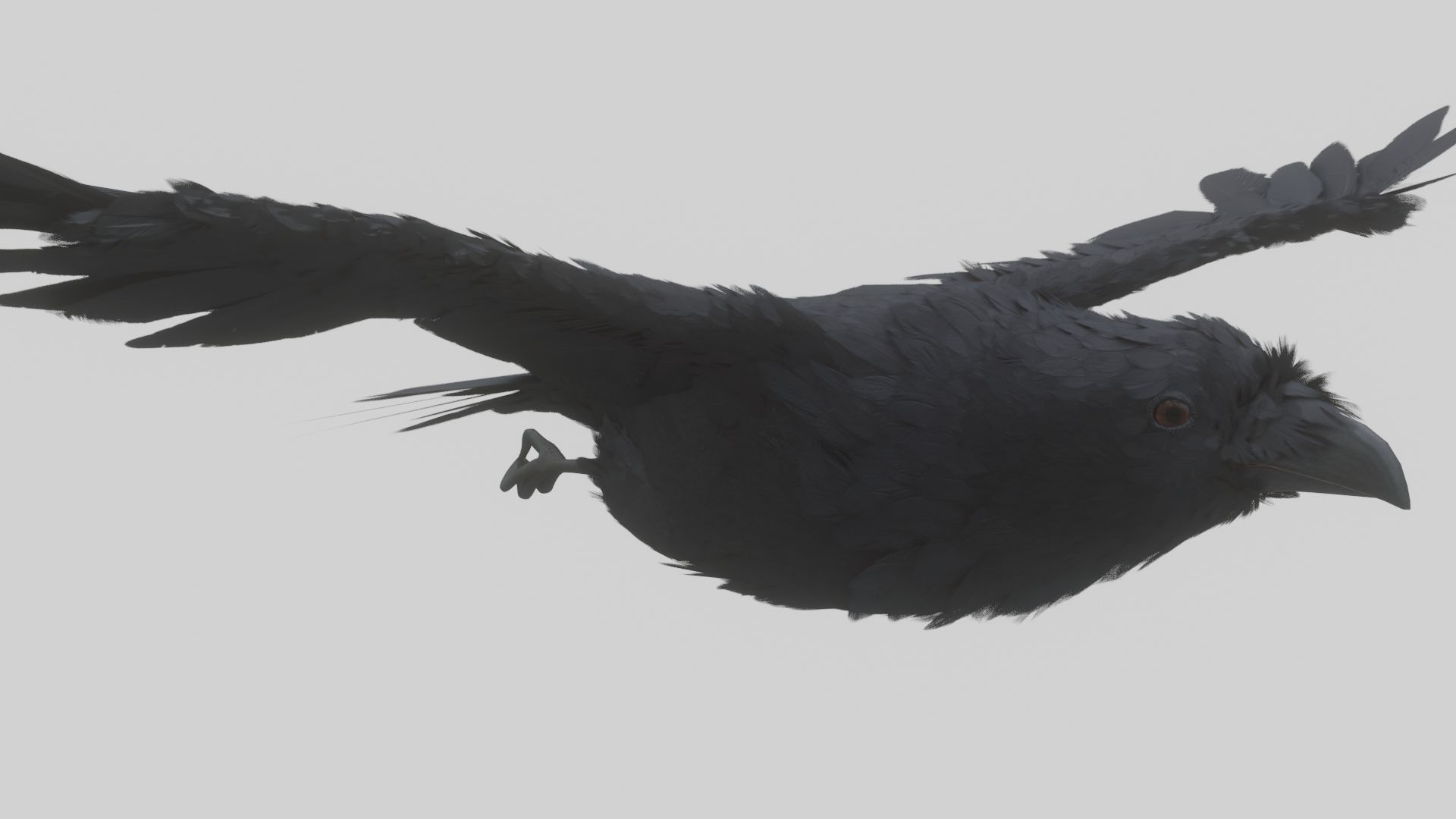 Animated Low Poly Raven Model With PBR Materials Low-poly 3D model_3