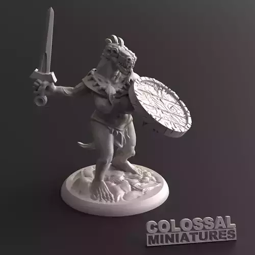 Lizardfolk Female Sword and Shield B 3D print model