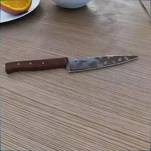 Realistic Kitchen Knife Free 3D model