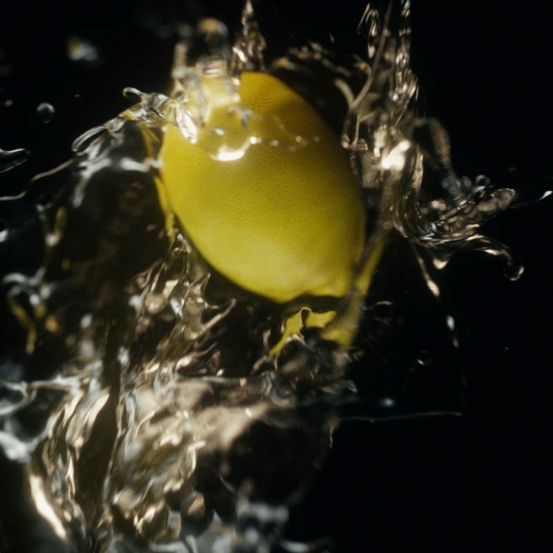 Lemoon Fluid Animated 3D model_3