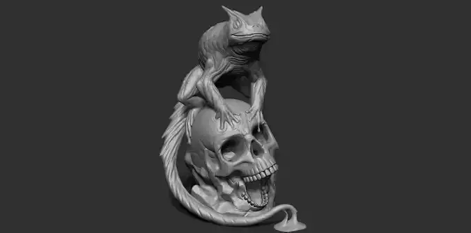Frog on a skull 