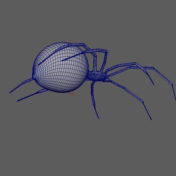 Spider Black Widow 3D model_9