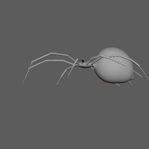 Spider Black Widow 3D model_14