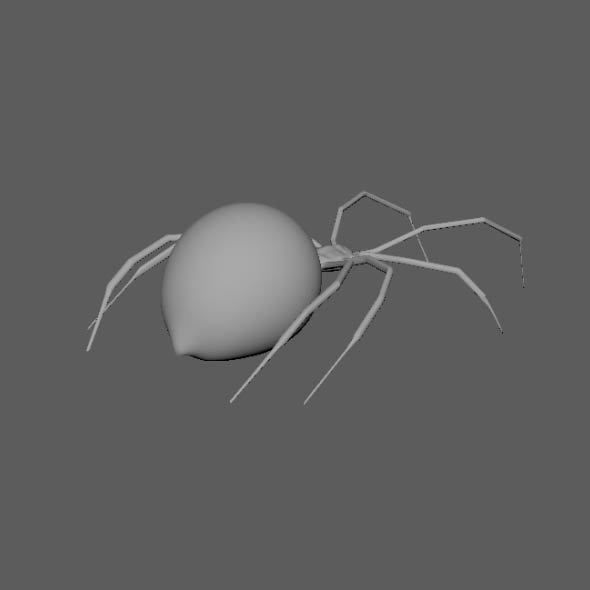 Spider Black Widow 3D model_13