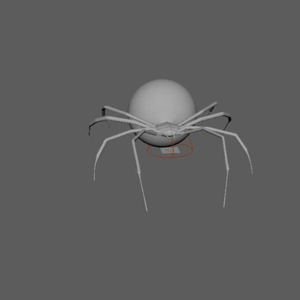 Spider Black Widow 3D model_16