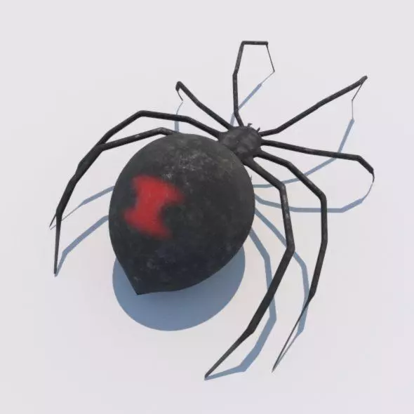 Spider Black Widow 3D model_0