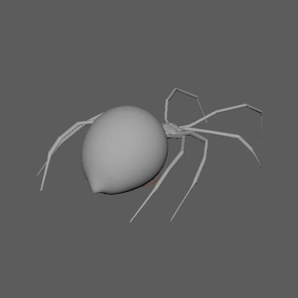 Spider Black Widow 3D model_17
