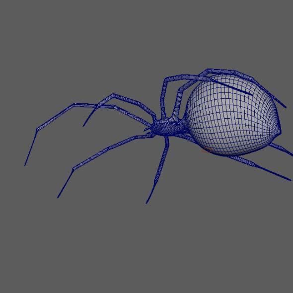 Spider Black Widow 3D model_1