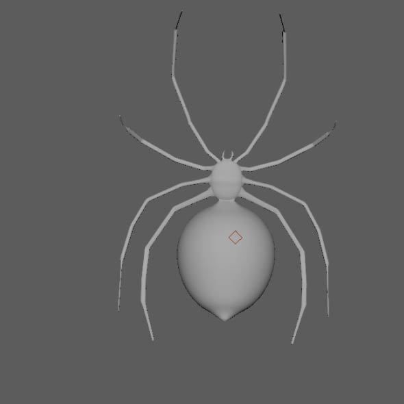 Spider Black Widow 3D model_15