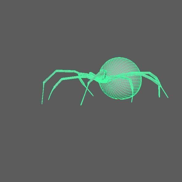 Spider Black Widow 3D model_11