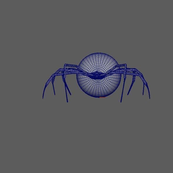 Spider Black Widow 3D model_7