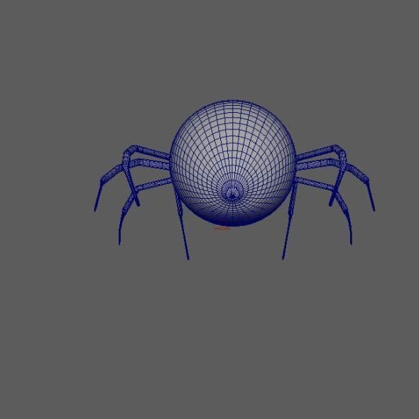Spider Black Widow 3D model_5