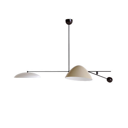 Rare Oscar Torlasco Counter Balance Ceiling Light 3D model