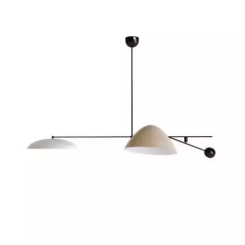 Rare Oscar Torlasco Counter Balance Ceiling Light