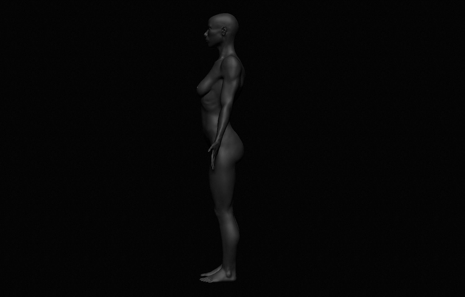 Female Body Free 3D model_10