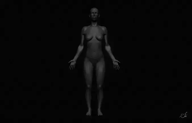 Female Body Free 3D model