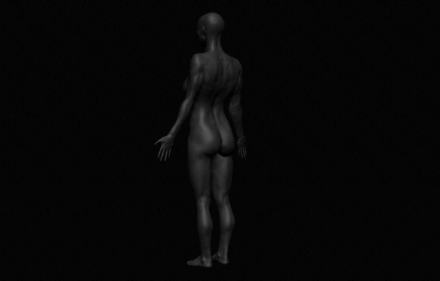 Female Body Free 3D model_11