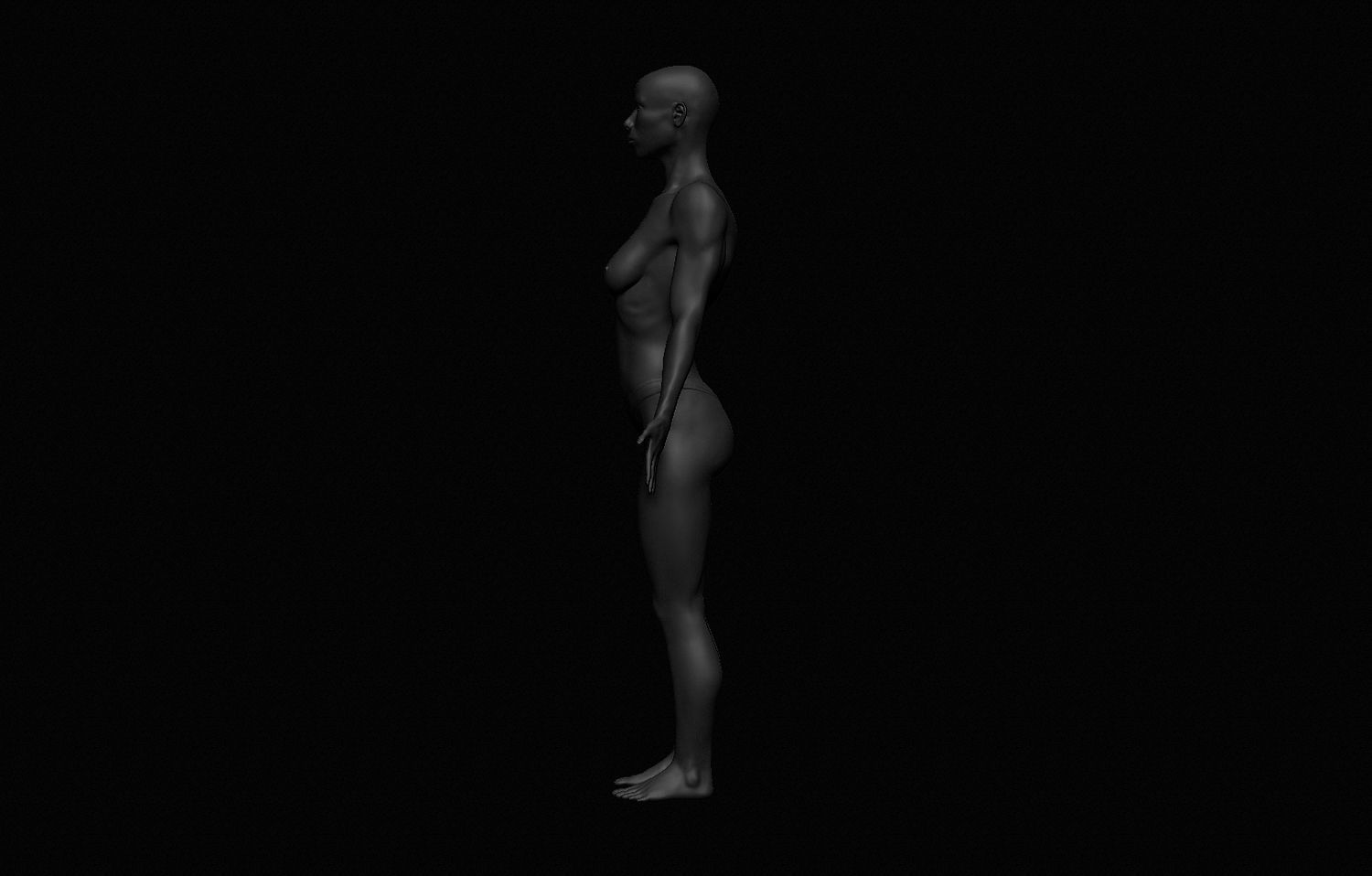 Female Body Free 3D model_2