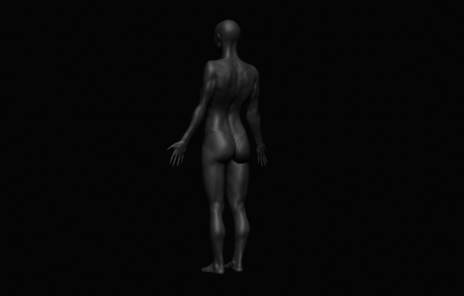Female Body Free 3D model_3