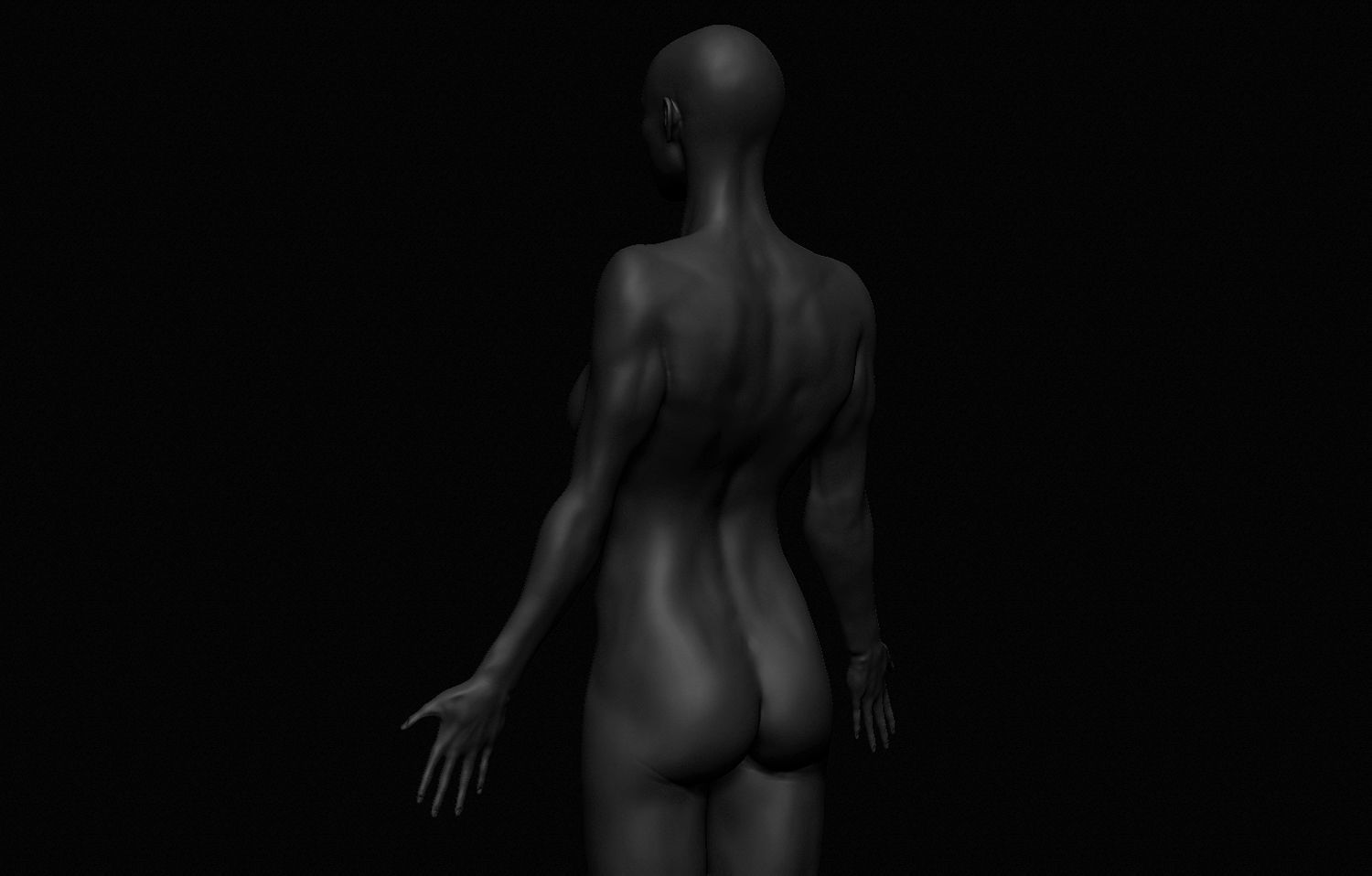 Female Body Free 3D model_15