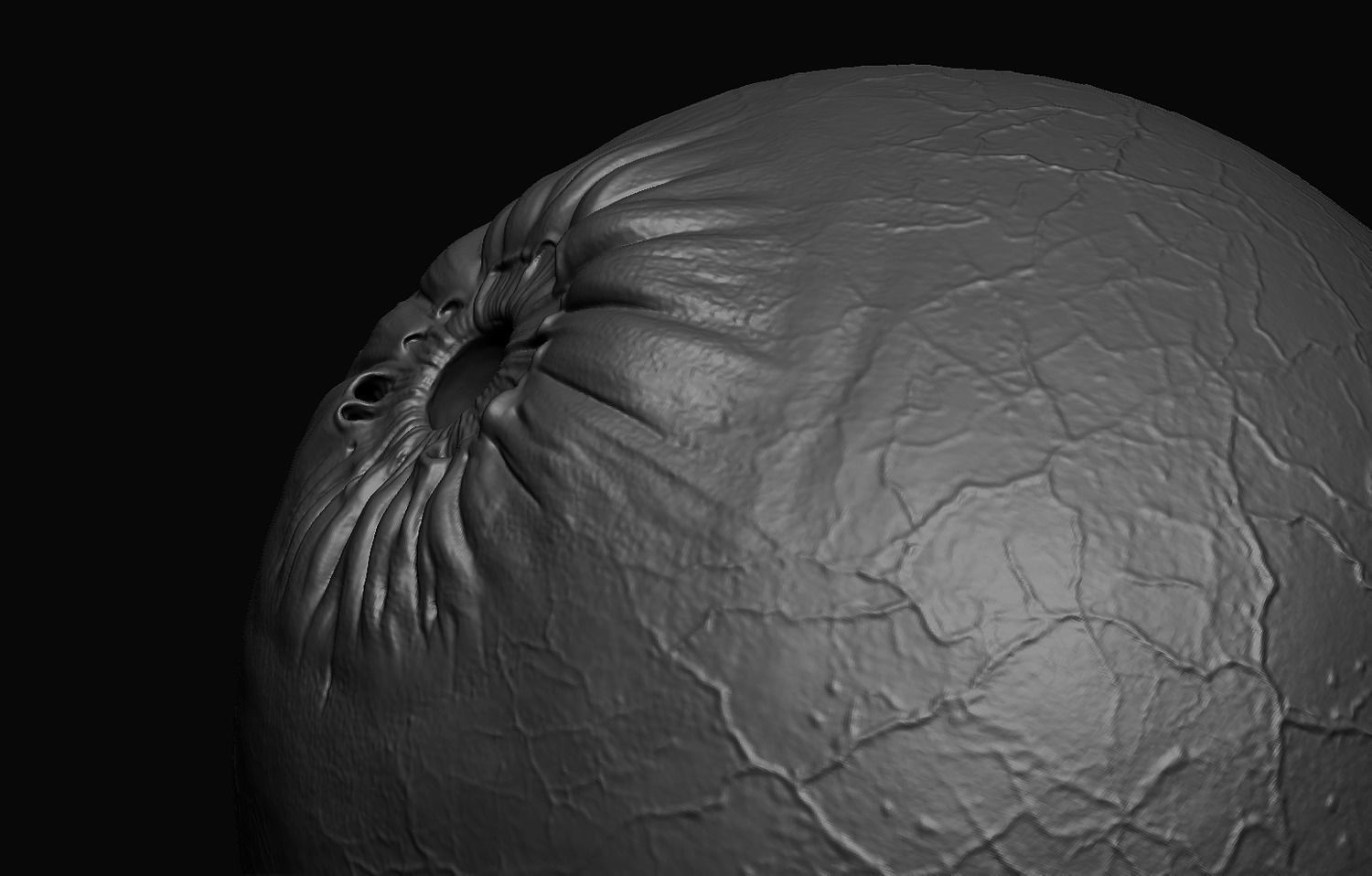 Female Body Free 3D model_33