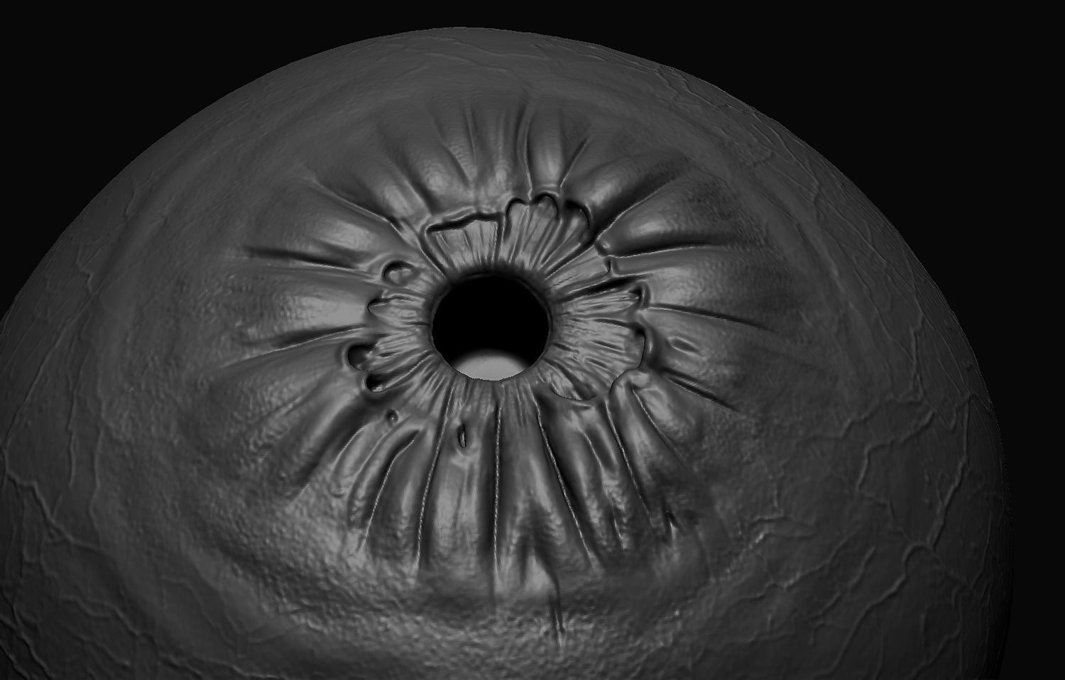 Female Body Free 3D model_34