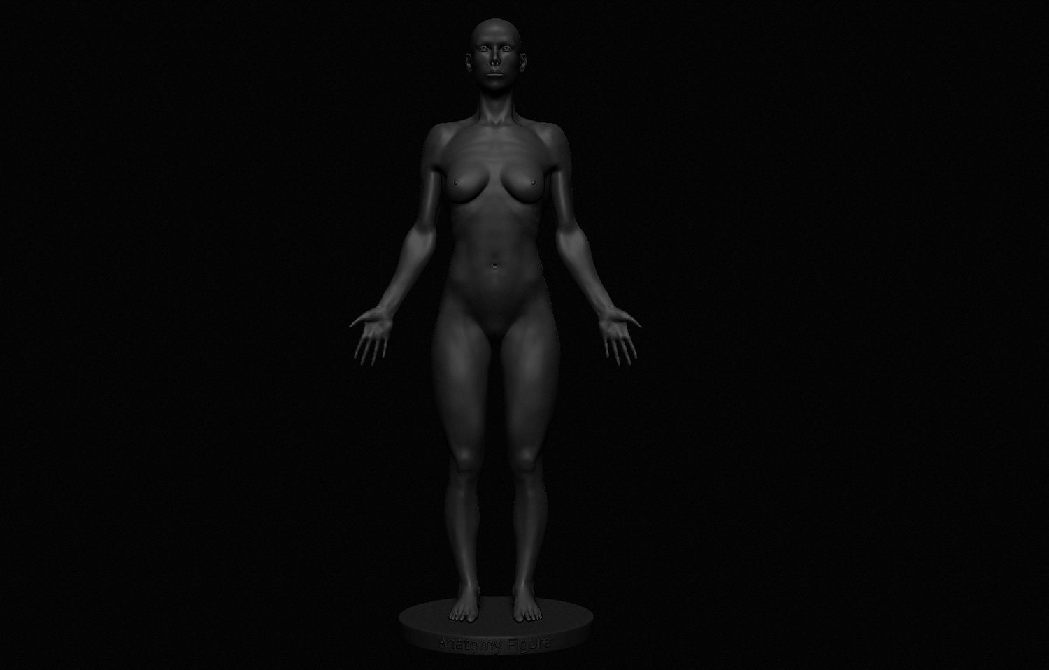 Female Body Free 3D model_16