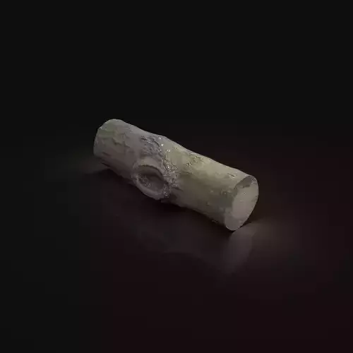 Scanned Photogrammetry Wood Log Tree Part Scan AAA NEXT-GEN Free low-poly 3D model