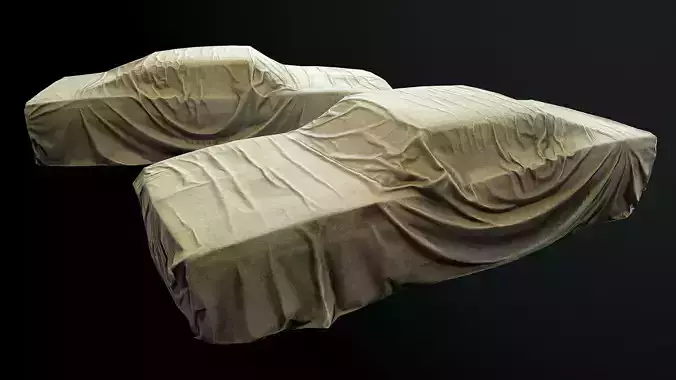 Car Cover e