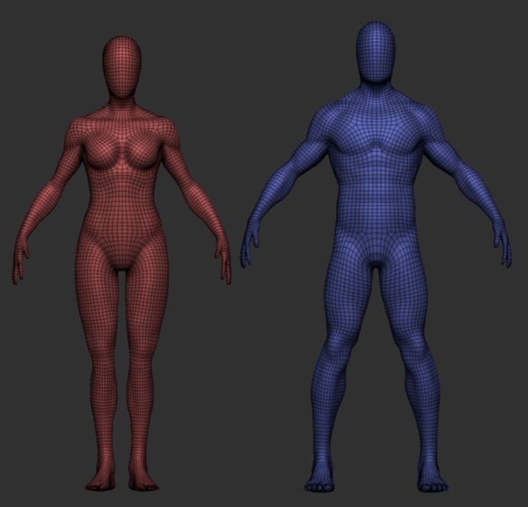 faceless body male and female 3D model_2