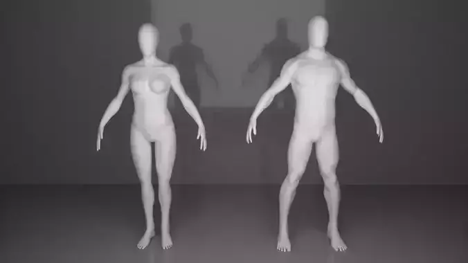 faceless body male and female  3D model