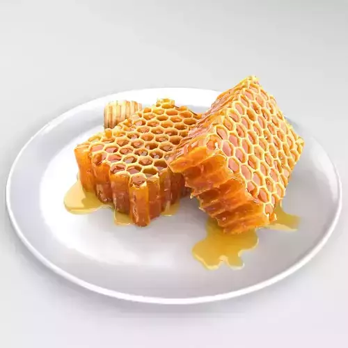 Honeycomb on plate 3D model