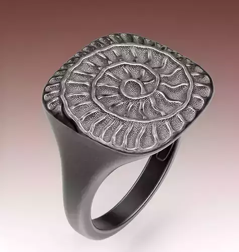 Ring Nautilus 3D print model