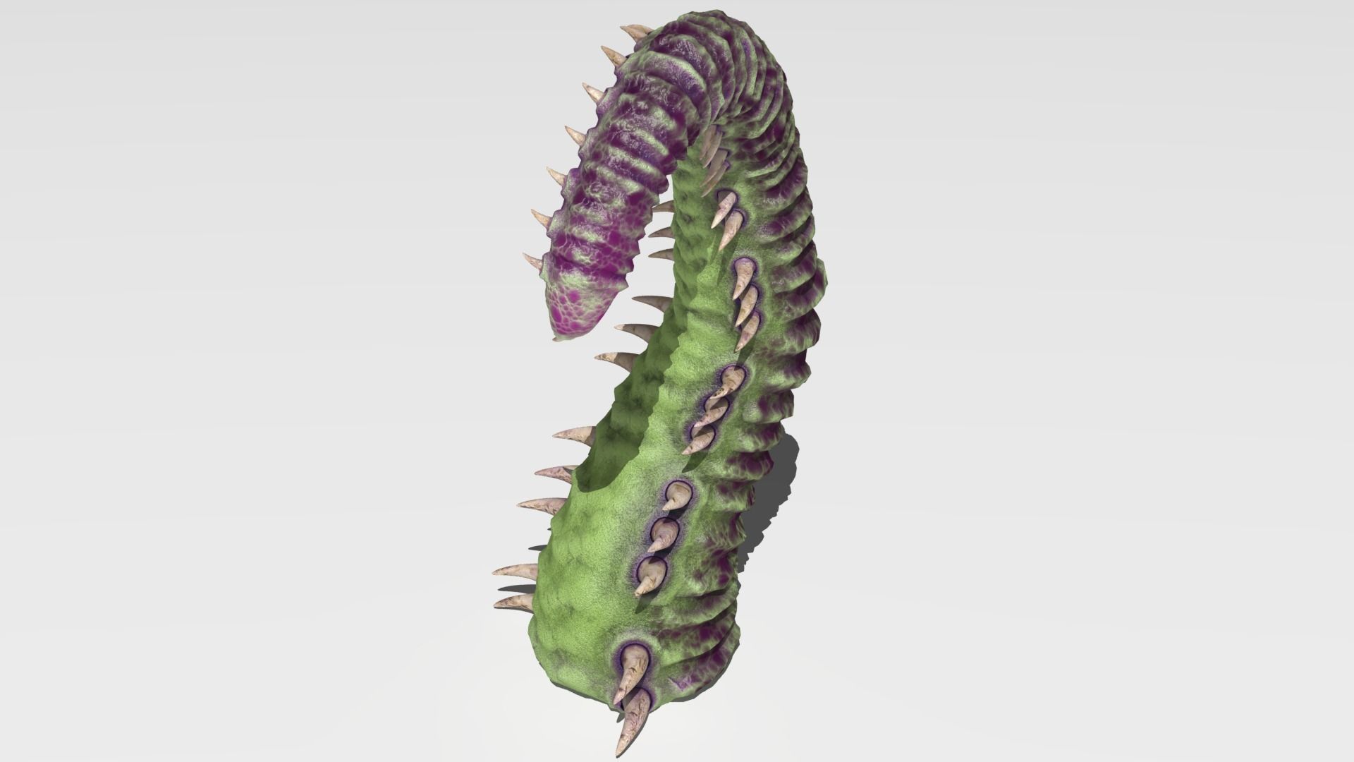 Worm tentacle 3D model_10
