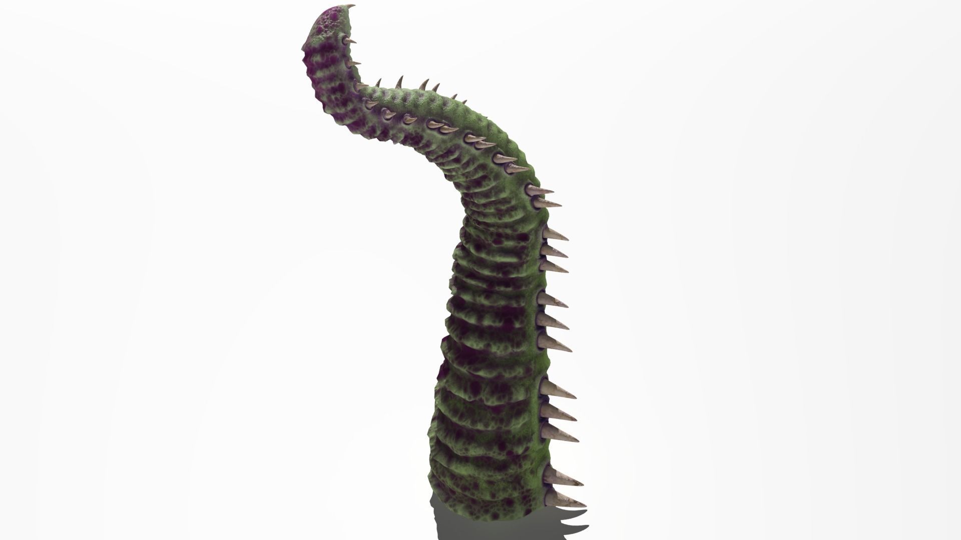 Worm tentacle 3D model_11