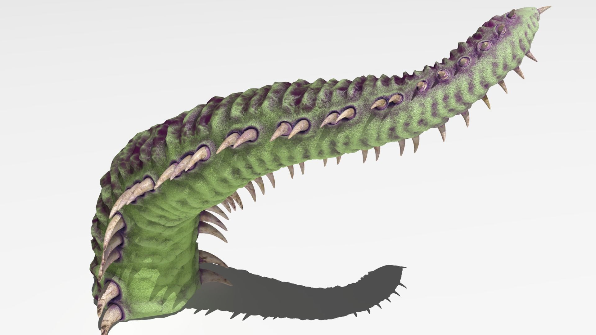Worm tentacle 3D model_9