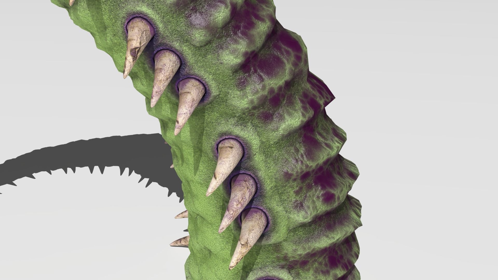 Worm tentacle 3D model_7